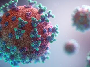 microbiome