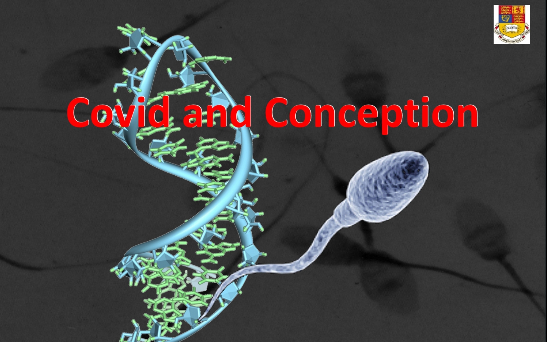 Covid and Conception