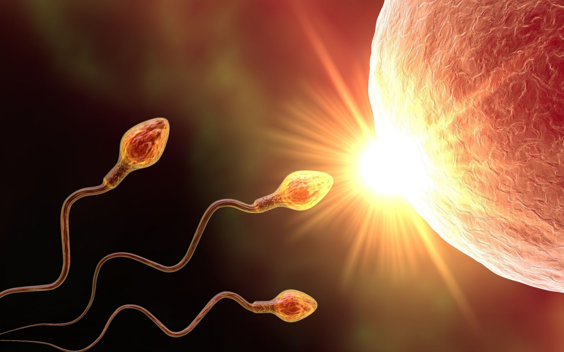 Investigate Sperm and Treat the Man