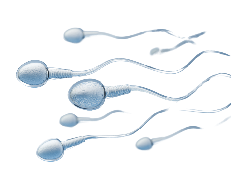 all client logos (1)