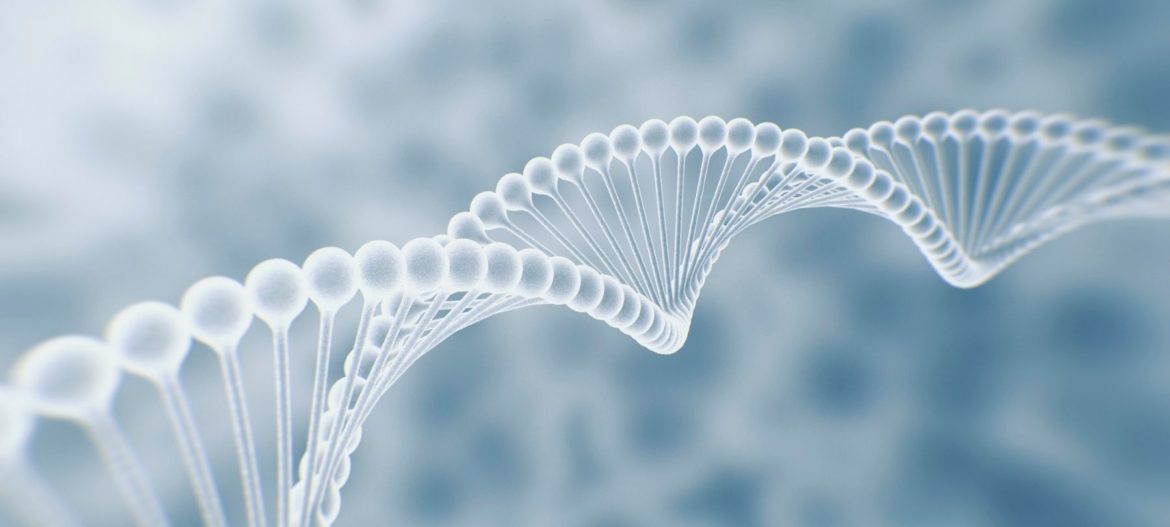 JR Landscape banners (1) dna fragmentation