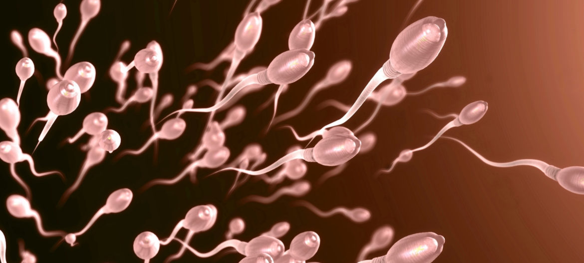 JR Landscape banners (1) Mr Jonathan Ramsay Oligospermia