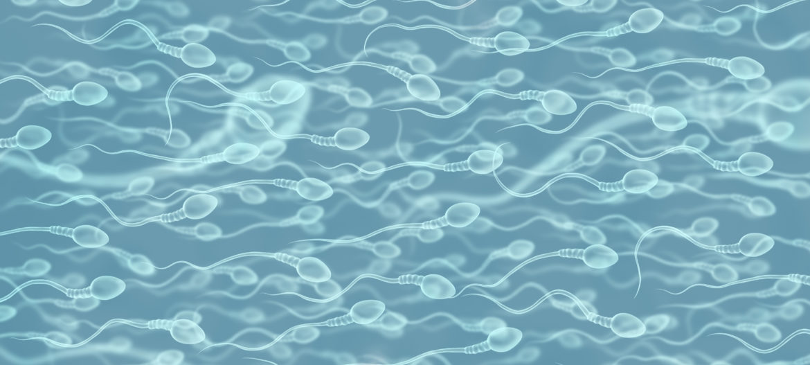 JR Landscape banners (4) Sperm Retrieval