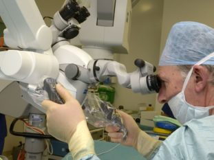 microdissection sperm retrieval.