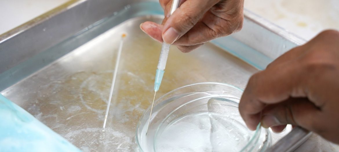 JR Landscape banners (5) Sperm Storage