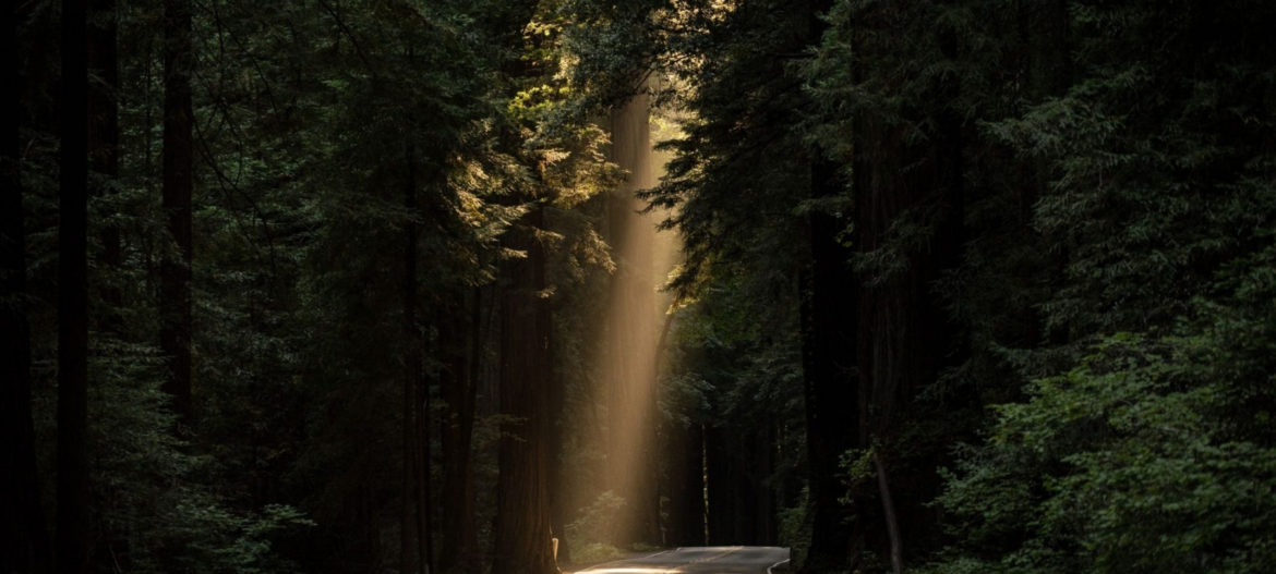 Mr Jonathan Ramsay (10) Good news to share