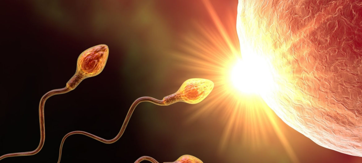 Mr Jonathan Ramsay (11) Investigate Sperm and Treat the Man