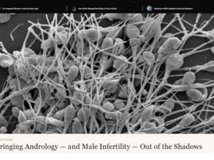 Bringing Male Fertility out of the Shadows