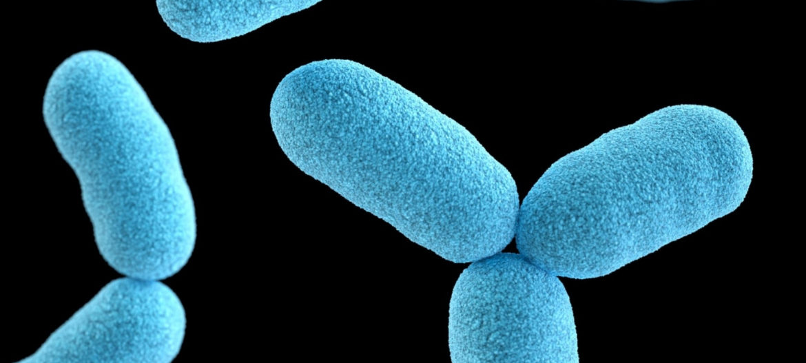 The microbiome in the semen - does it matter?