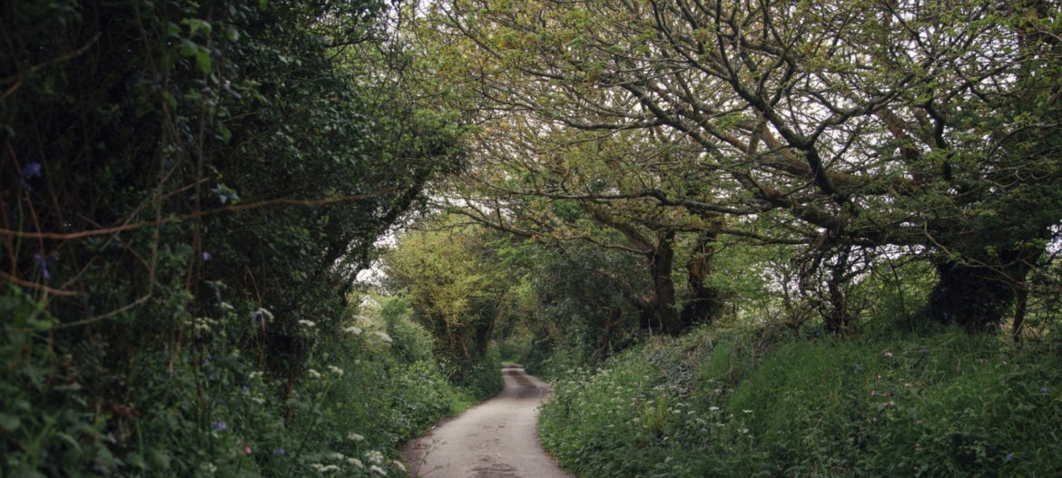 The current path Male Infertility