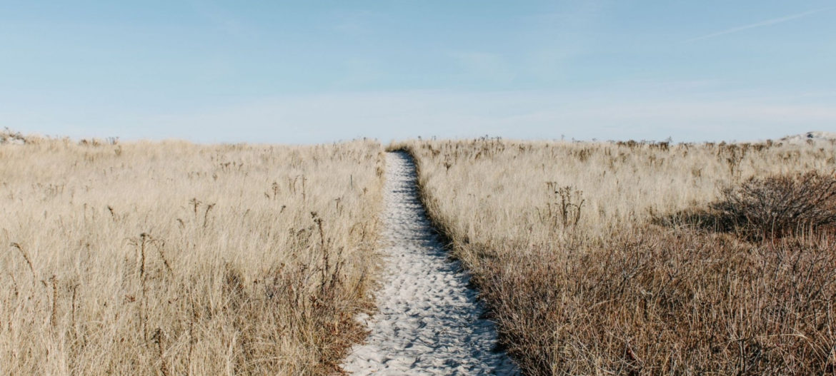 The path ahead with consultations and investigations