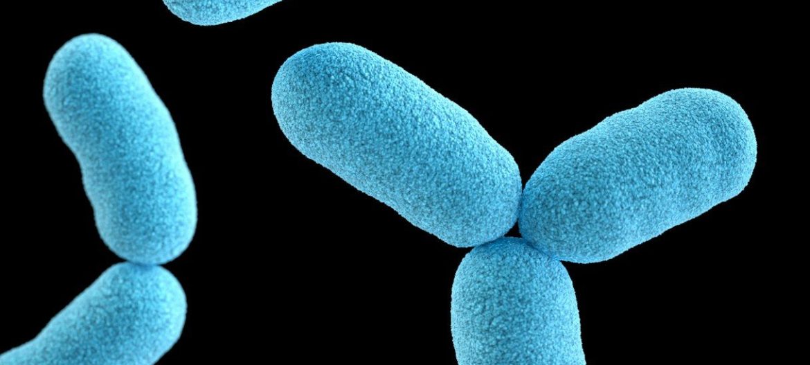 germs and sperm