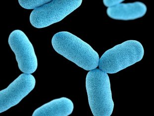 germs and sperm