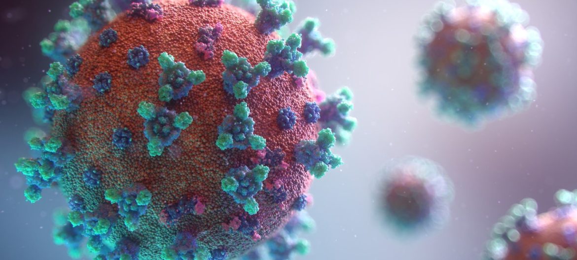 Photo by Fusion Medical Animation microbiome