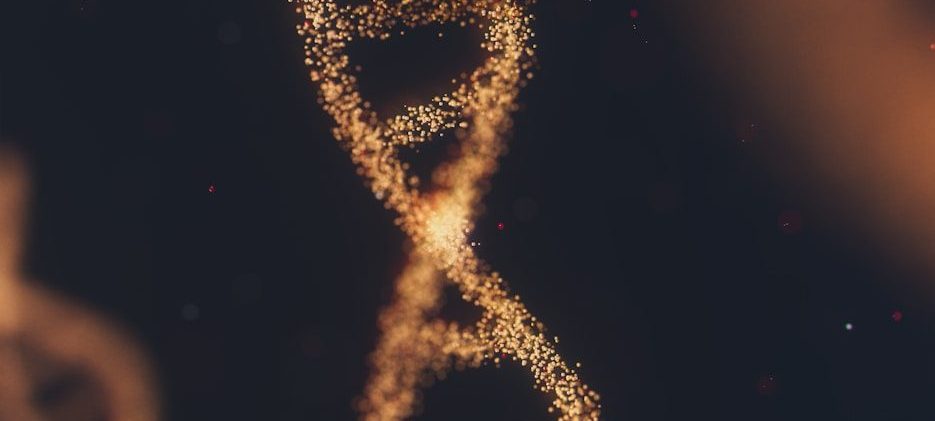 dna fragmentation
