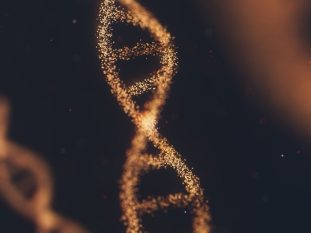 dna fragmentation